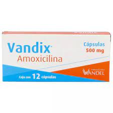 AMOXICILINA 500 MG 12 CAPS LGEN