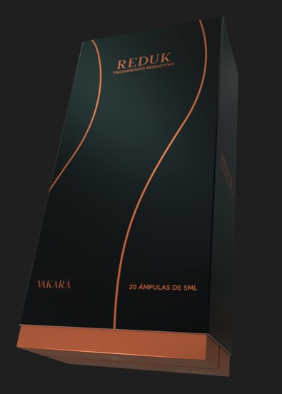 VAKARA REDUK (REDUCTOR) CAJA CON 20 AMP