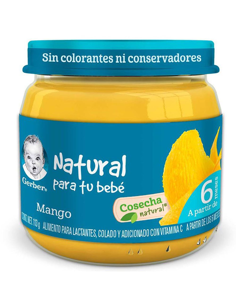 GERBER 2A E PURE MANGOS 113 G