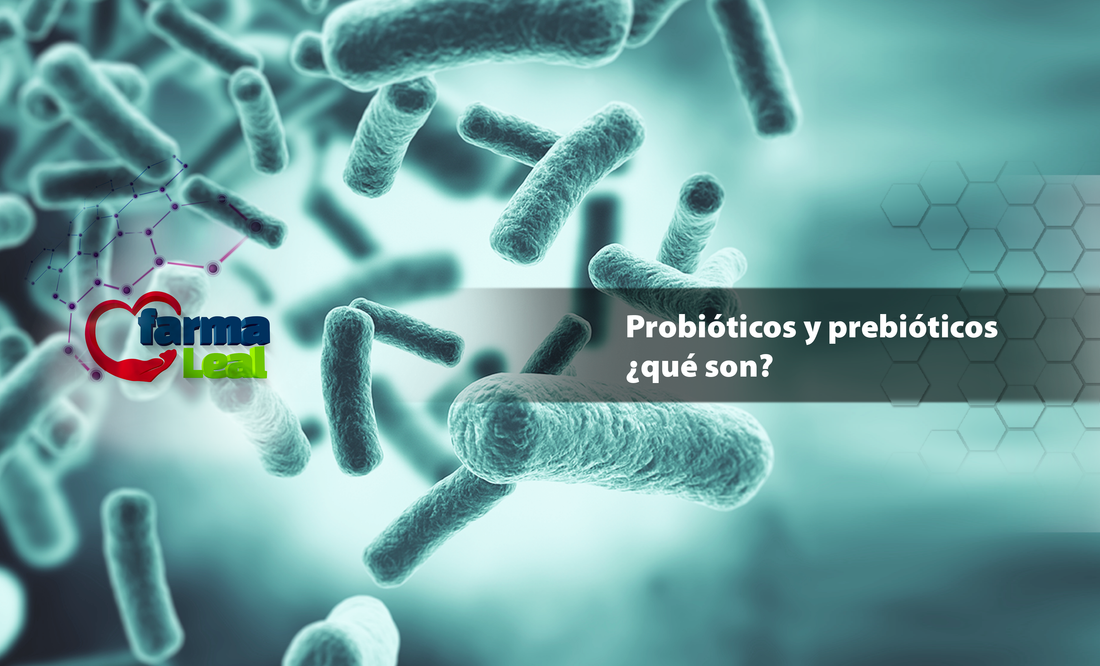 Probióticos y prebióticos