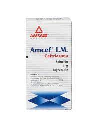AMCEF IM 1G IM 3 5ML – Farma Leal
